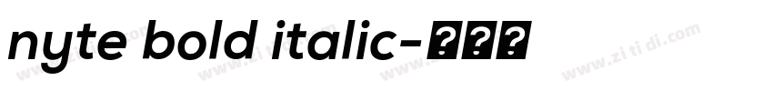 nyte bold italic字体转换
